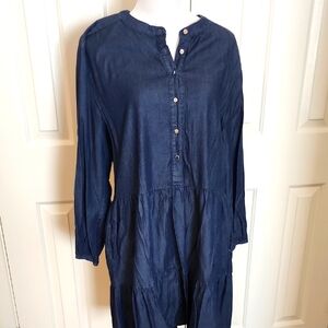 Denim Button-Up Women's Dress